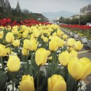 남강주유소 이미지