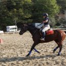 오케이승마목장 이미지