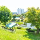 잉글리시 마술 학교 이미지