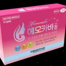 서울메디칼 이미지