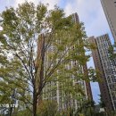 용천가로공원 이미지