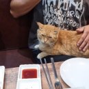 칠복이네돈까스 네이버블로그