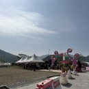 포유문건강식품 | 포천 가볼만한곳 데이트 코스 추천 2026 포천 한탄강 봄 가든 페스타