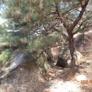 선림농장 이미지