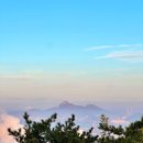 마골산화장실 이미지