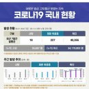 코로나19 국내 현황 8월 21일 이미지