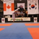 월드합기도 이미지