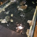 불고기미식관 본점 이미지