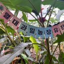 유진농장(2) 이미지