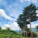 지리산생태체험단지 | 함양 지리산생태체험단지 방갈로 황토방 물놀이장 개장 예약방법 카페 산,담다