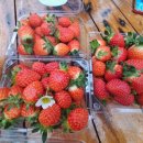 화진농장 이미지