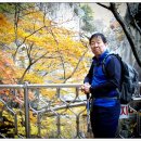 무릉1공원 이미지