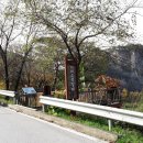 내리계곡로 이미지