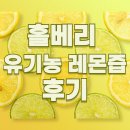 6즙 | 홀베리 유기농 레몬즙 후기 / 6박스 할인 정보