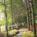 민생 쿠폰 사용 하기♡ 이미지