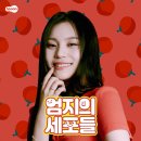 엄지정식