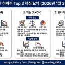 액손