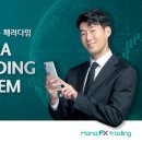 하나푸드시스템