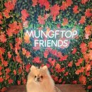 간식놀이터 이미지