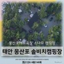 태안여행 - 몽산포해수욕장 솔비치오토캠핑장 2박3일 후기 (갯벌체험 맛조개)