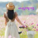 썬다방 Daum카페