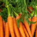 위너스케어 이미지