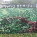 8.칠순을 바라보며 백두대간 홀로걷기(해인산장~삼도봉~우두령 12.6km) 이미지