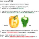 피망