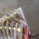 오일양어장 Daum카페