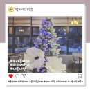 하자메커피 | 분위기 좋고 조용한 보라동카페 하자메커피 내돈내산 방문 후기