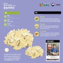 꽃송이가 이미지