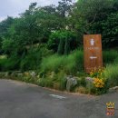 청담 관광농원 | 화성 더포레 THE FORE : 데이트하기좋은 숲속 정원 카페 대형 베이커리 농원 예쁜 커피 맛집 주차 정보