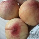 미림농장 | 생선 없으면 밥 안먹고요 후식 과일 없으면 예민해요 | 농라 복숭아 참외 후기 | 밀키트 추천 | 감자탕 |