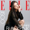 아모르데이A 이미지