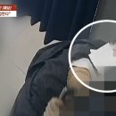 성사진관 이미지