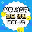 청주 서원구 탈모 전문 병원 두피 탈모관리 잘하는 곳 추천 List