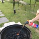 스테이무카 이미지