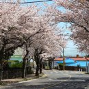 효돈동-3 이미지