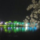 생비량초등학교 이미지