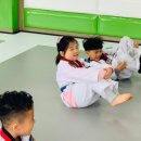 제일아이캔태권도 이미지