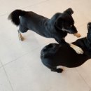 울루라떼 이미지