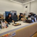 태백농장 | 태백 아이와가볼만한곳 초록뿔언덕카페 사슴농장 사슴볼수있는곳