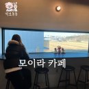 모이라 | 내돈내산) 전주 분위기 좋은 대형 카페 모이라 재방문 후기