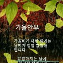 현아님 이미지