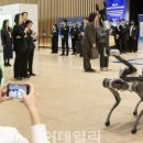 레인보우시스템즈