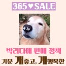 미르안경 이미지