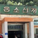 양구이용소 네이버블로그