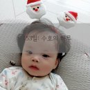 항도정육점 | 5개월아기 혼합분유 추천 * 퓨어락 하루먹은 후기 * 뉴위드맘 무항생제위드맘 비교 * 이마트 압타밀...