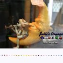 Pinocchio-6 이미지