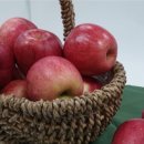 길안청송로(길안면) 이미지